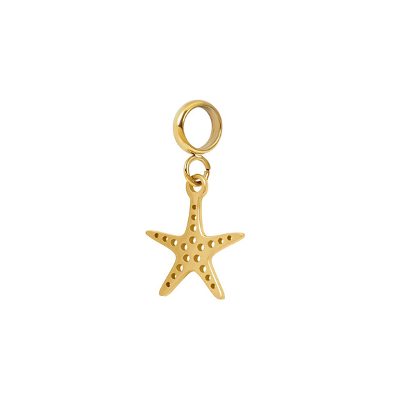 ixxxi connect charm ocean star goudkleurig 