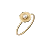 Een 18 krt geelgouden ring van Antonio Bernardo model Nest.