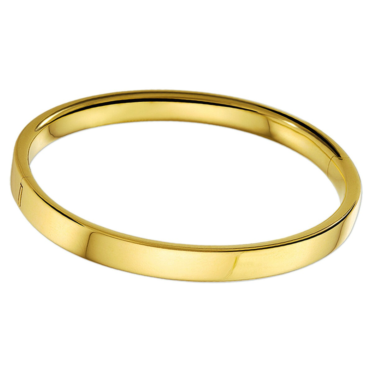 Deze exclusieve 14 karaats bangle is een prachtige toevoeging aan elke sieradencollectie. Deze charmante armband, met een stijlvolle platte buisvorm, straalt elegantie en verfijning uit. Perfect te dragen als statement piece op zichzelf of gecombineerd met andere sieraden voor een gelaagde look. Ideaal voor zowel dagelijks gebruik als speciale gelegenheden.