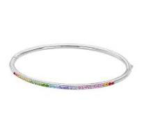 stalen bangle met regenboogkleuren zirkonia steentjes.