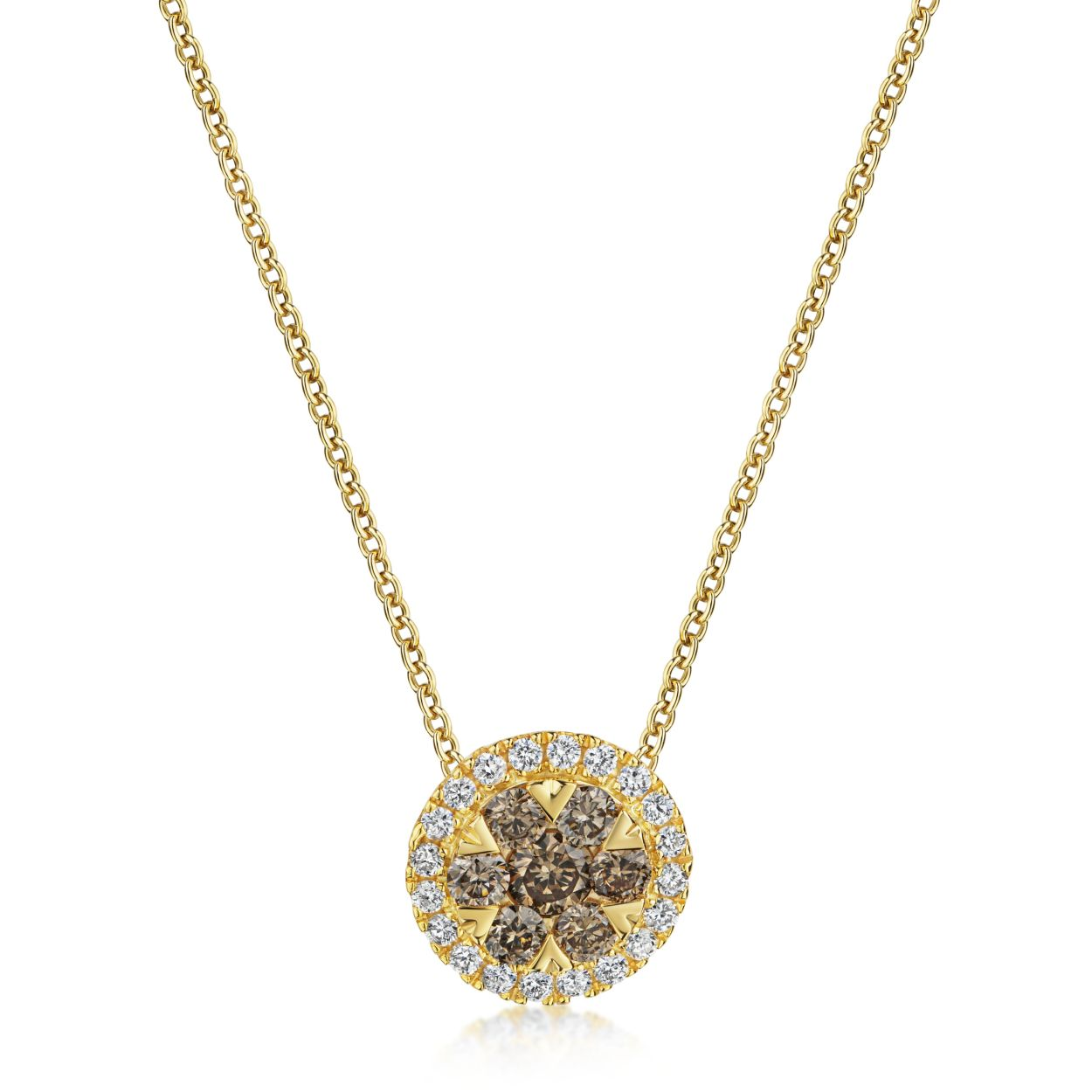 Diese auffällige 585/- Gelbgold Kette mit 7 Champagner farbenden und 28 weiße Brillanten ergänzen sich zu einer wunderschönen Blume und lässt sich am besten mit schlichten Schmuckstücken kombinieren. Ergänzen Sie sie mit dem passenden Ring und den Ohrsteckern, um ihre Extravaganz zu betonen. Ideal, um jedem Outfit einen Hauch von Eleganz zu verleihen und Ihre natürliche Schönheit hervorzuheben.