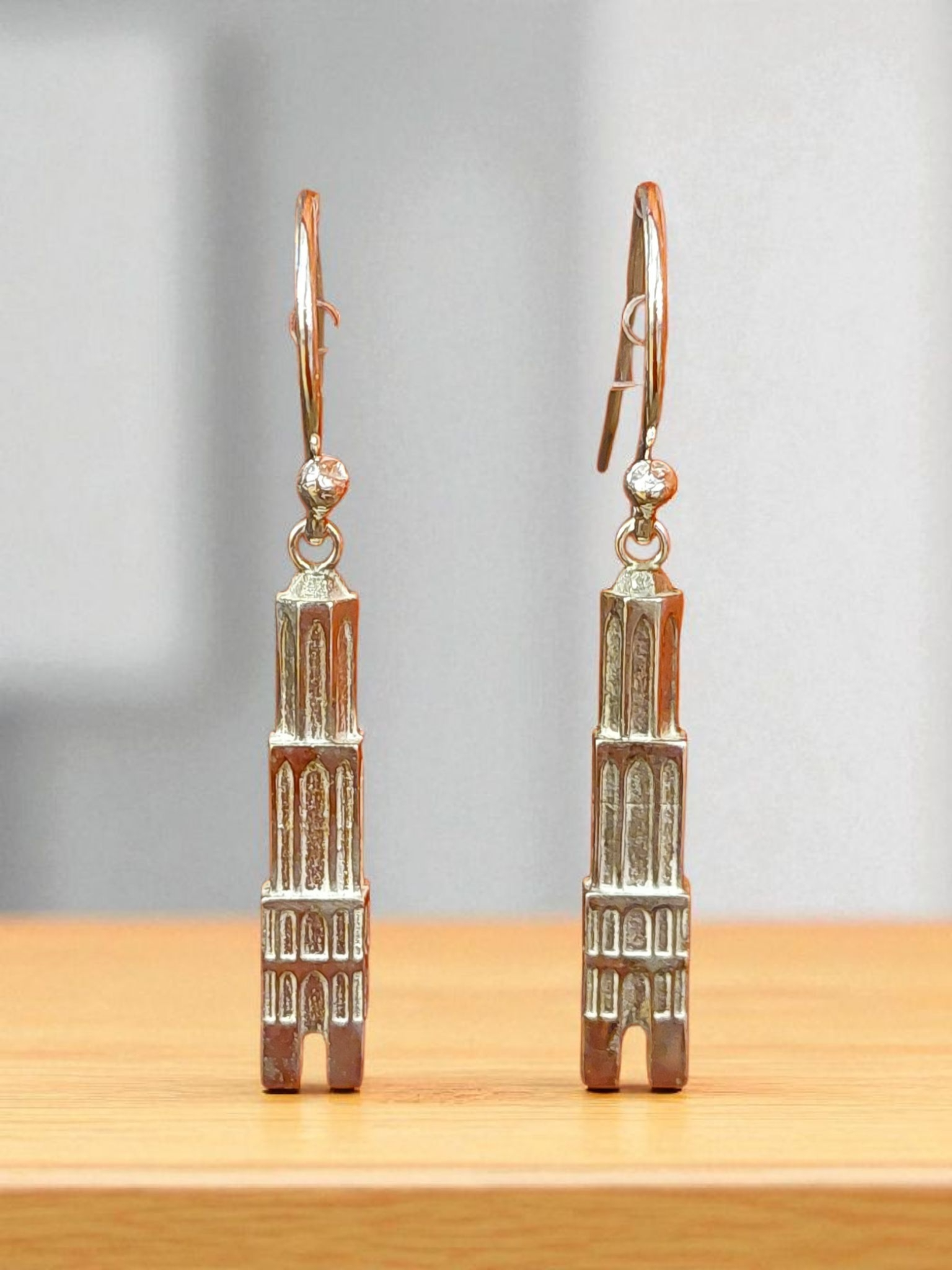 Zilver oorhanger Dom