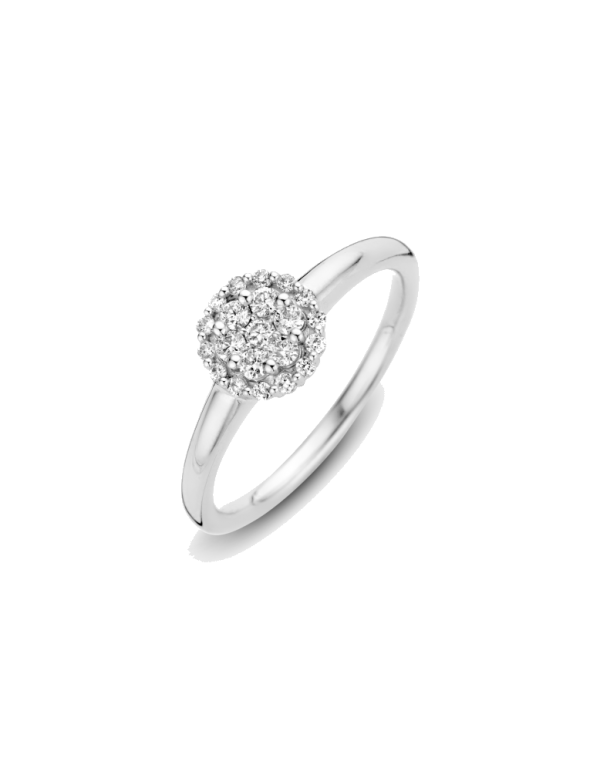 Gouden dubbele entourage ring met diamant 