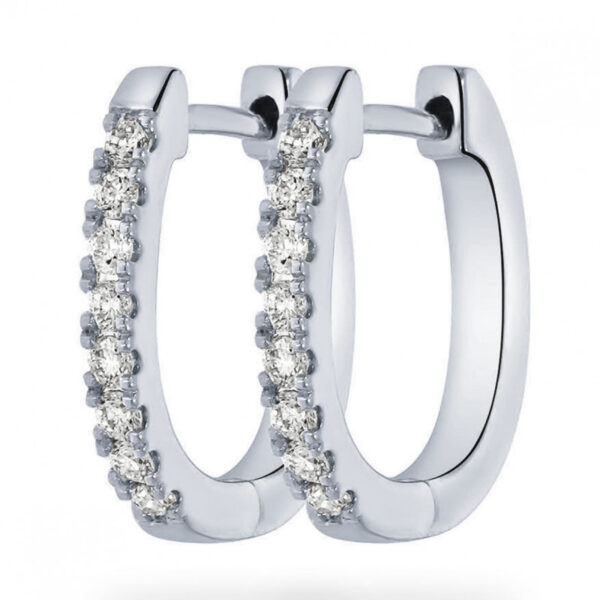 De Oorringen Ovale Vorm met modelnummer zijn prachtige creolen uitgevoerd in 14 karaat witgoud, bezet met diamanten van in totaal 0.16 karaat, kleur H en SI zuiverheid. Perfect voor zowel dagelijkse als feestelijke gelegenheden, bieden ze een elegante en tijdloze uitstraling. Combineer met andere gouden sieraden voor een complete look.