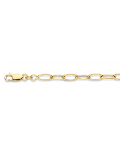 Fjory - 14kt geelgouden anker armband met zilveren kern, 19cm 4.5mm - 40-ANK04,519