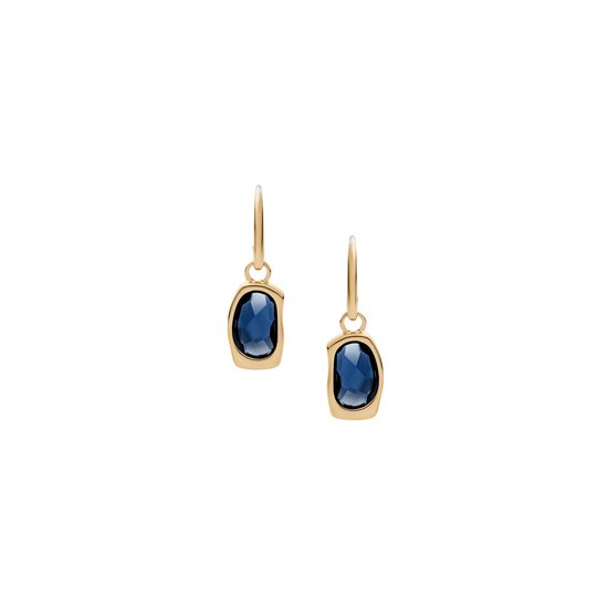 Gepolijst goudkleurig roestvrij staal omlijst zachte, doorschijnende op blauw zeeglas geïnspireerde accenten in deze druppeloorbellen. Het minimalistische ontwerp wordt afgerond met een elegante oorhaaksluiting.