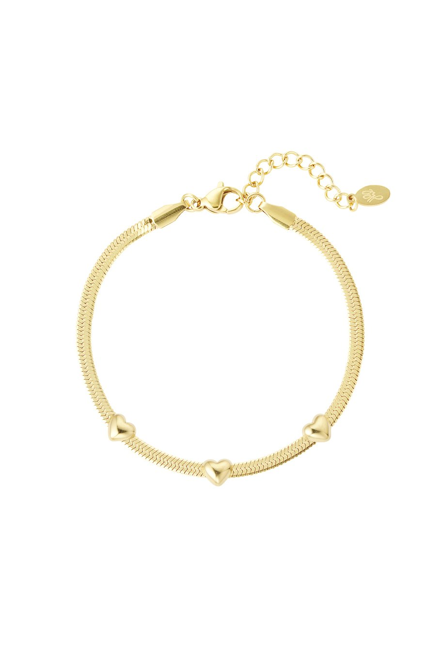Gemaakt van roestvrij staal. De armband is 17 cm lang en is 3 cm verstelbaar