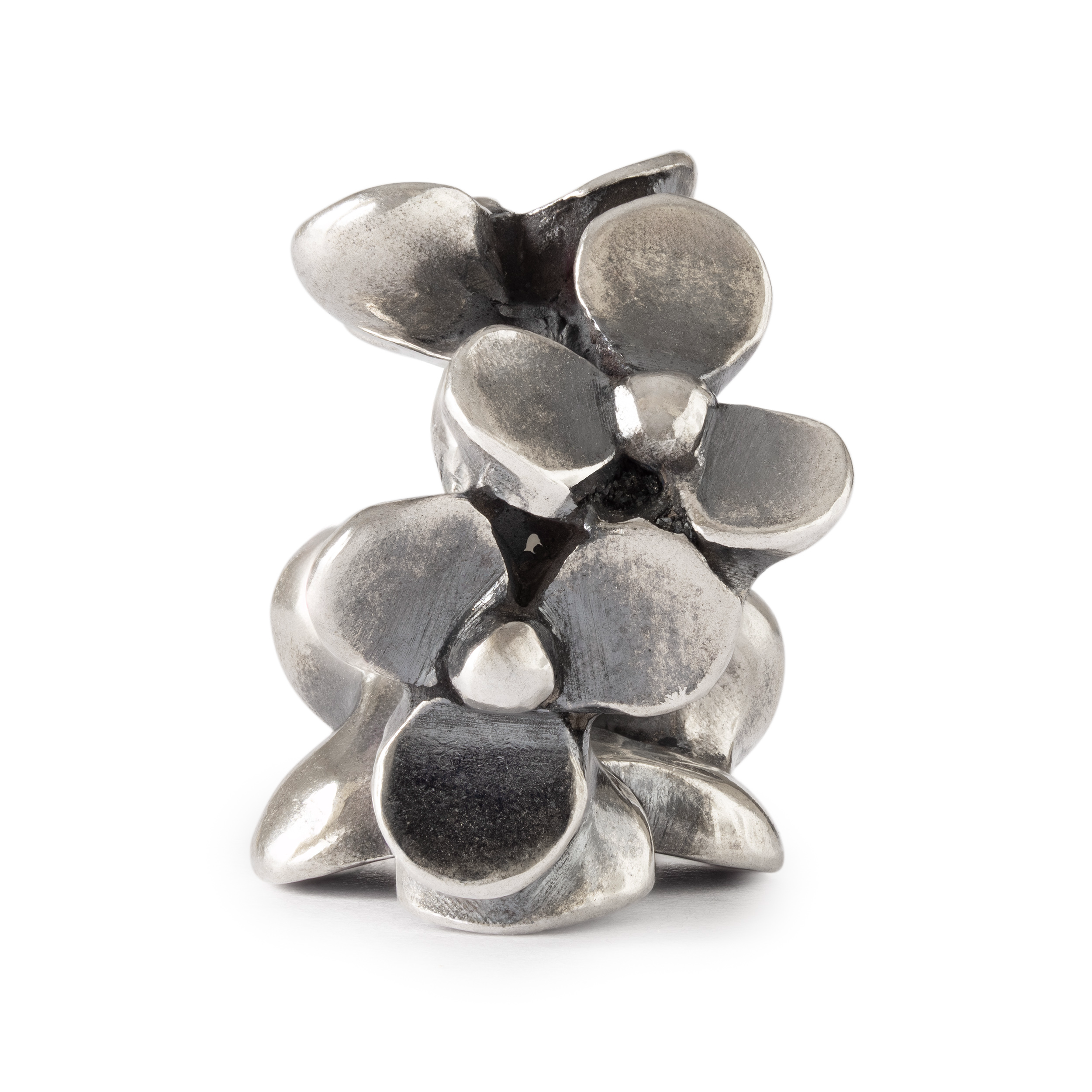 De Trollbeads Bloeiende Tuin TAGBE-00314 is een prachtige zilveren hanger van 925 sterling zilver, nikkelvrij en zilverkleurig. Ideaal te dragen aan een ketting of armband, voegt deze sierlijkheid toe aan elke outfit. Met maat 4 is het een subtiel, elegant accessoire dat uw look compleet maakt. Perfect voor elke gelegenheid, van casual tot chic.