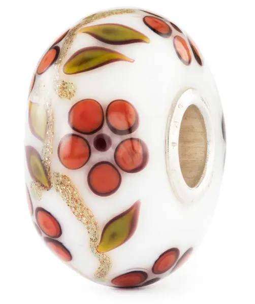 Ontdek de Schoonheid van zacht gesproken kracht