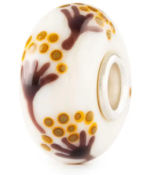 Waar goud licht over vertrouwd paden schijnt