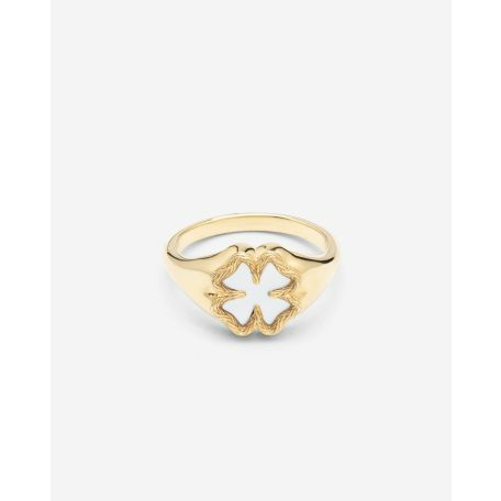 Collectie	Katja
Slot	NVT
Materiaal	Cultured freshwater pearls / Gold plated recycled 925 silver
Geslacht	Dames