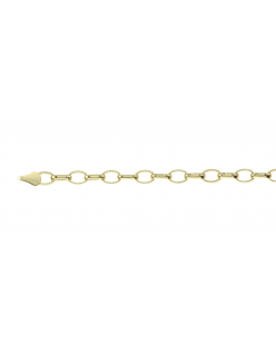 Zilverkern Gouden 3mm Jasseron Armband Fjory