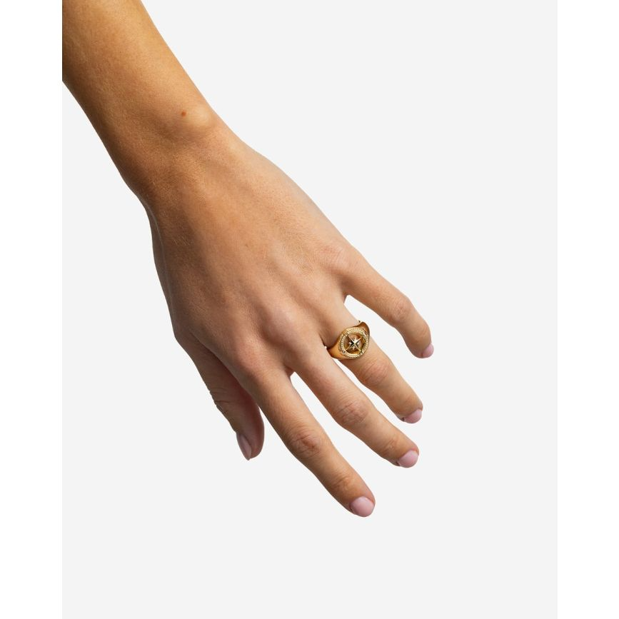 Deze 057GV 17.5 Signet Ring Compass Silver is een unieke zilveren ring met een kompasontwerp, gecategoriseerd als sieraad, specifiek als ring. Het beste te dragen op de middel- of ringvinger voor een stoere en avontuurlijke uitstraling. Ideaal voor dagelijkse elegantie of als een opvallend accessoire bij speciale gelegenheden.