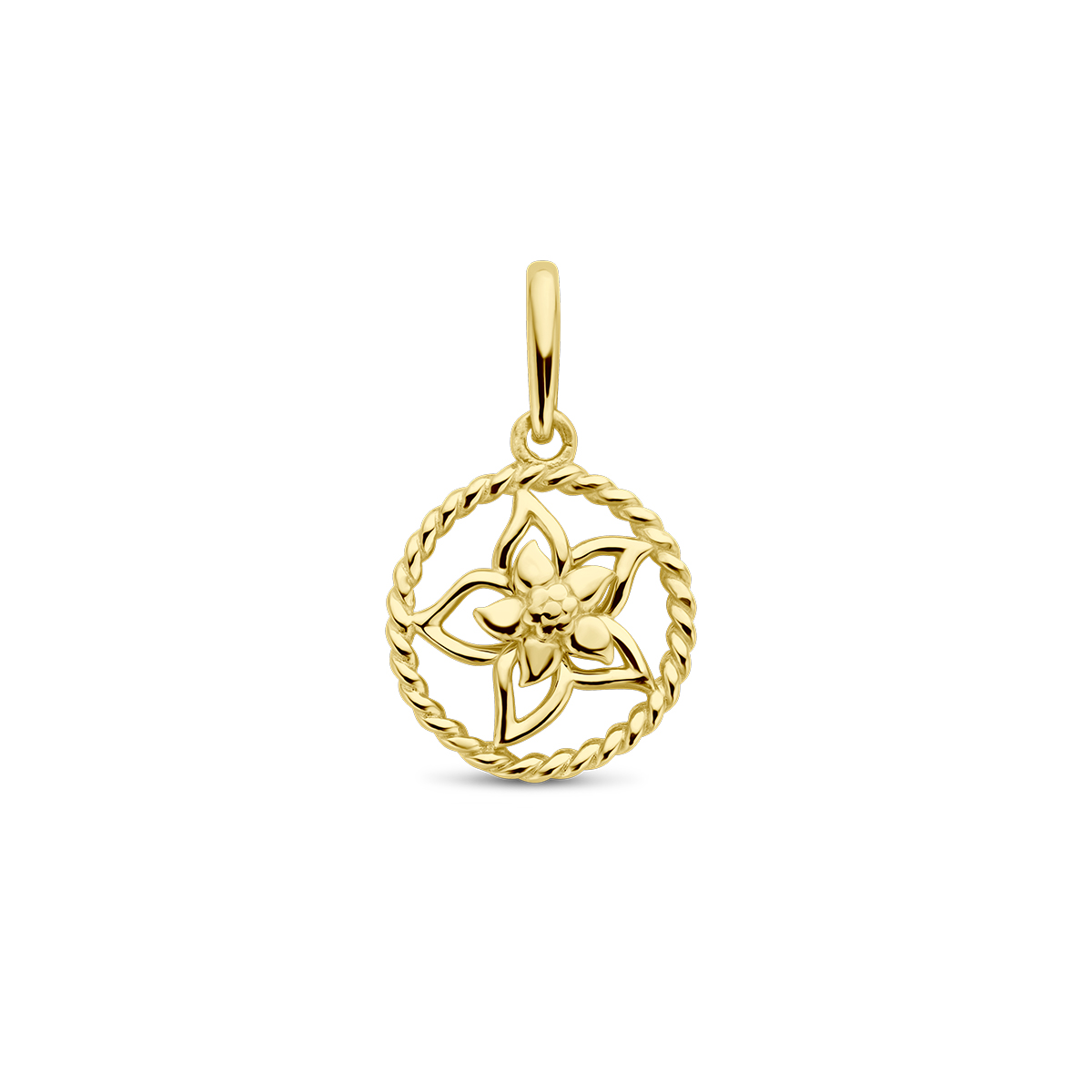14k Geelgouden hanger met een geboortebloem. De hanger heeft een totale hoogte van 17mm.