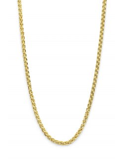 Fjory gouden collier met zilveren kern.
