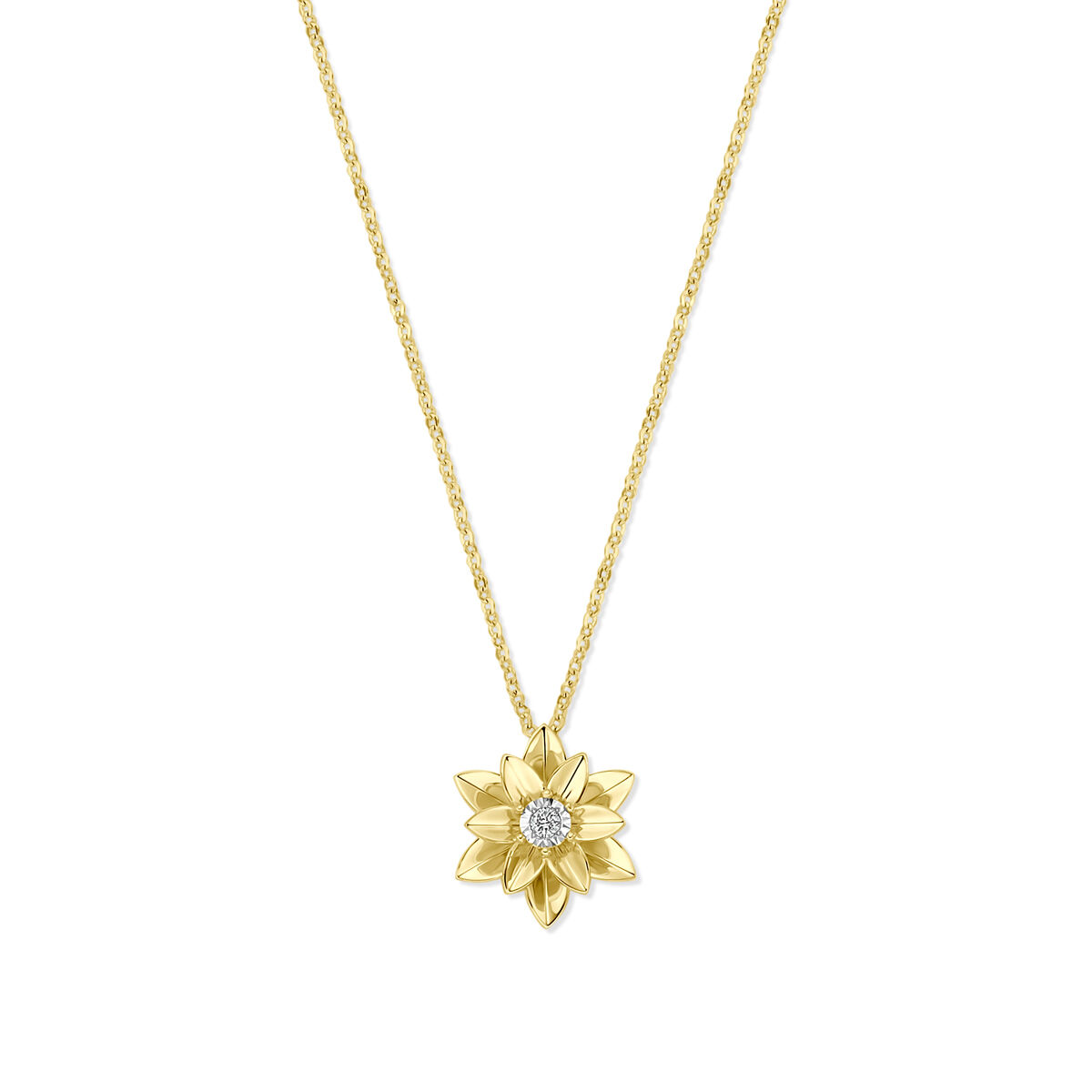 14k Bicolor-geel en witgouden collier uitgevoerd met diamant. Het collier heeft draaglengtes van 41-43-45cm. Het totale diamantgewicht is 0.03ct.
