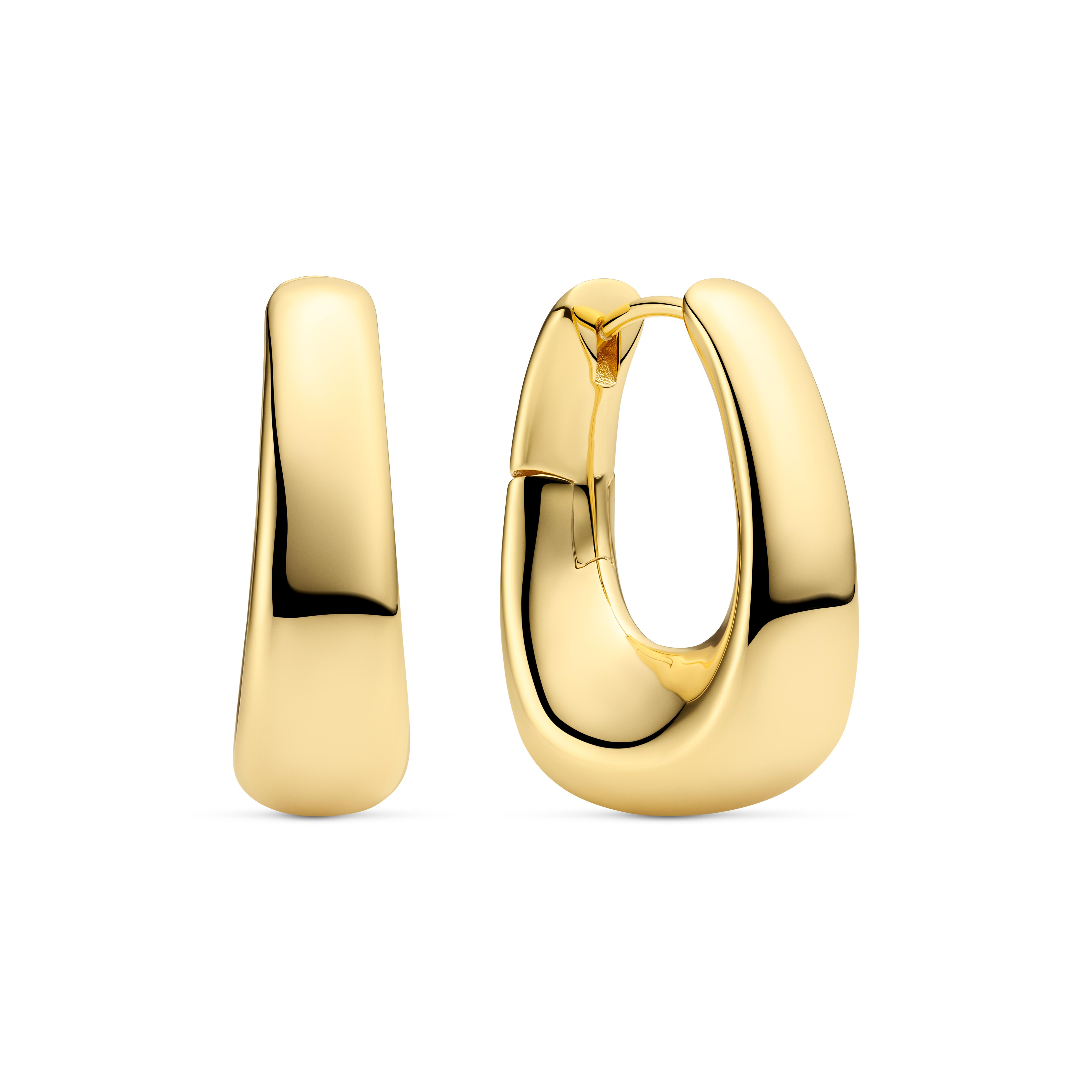 Zilver vergulde oorringen met scharnier sluiting.