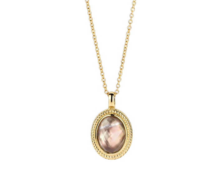 Blush - Geelgouden collier incl. hanger, 42cm - 3169YBQ