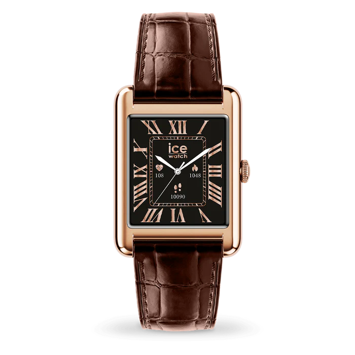 ice watch 