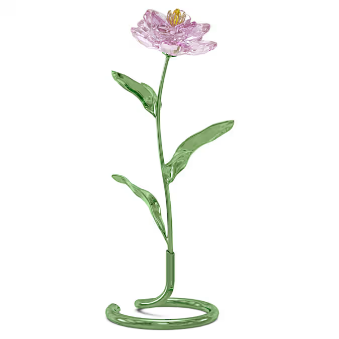 Deze betoverende pioenroos is hoog, elegant en kleurrijk en maakt een oogverblindende indruk. De prachtige creatie is voorzien van 456 facetten die het licht weerspiegelen en een betoverend kleurverloop op de roze bloemblaadjes. De bladeren en stengel zijn van groen gelakt metaal in een veelzijdig metalen voetstuk, waar u de bloem uit kunt halen wanneer u wilt. Dit vrijstaande ontwerp staat symbool voor liefde, geluk en romantiek en vormt een betekenisvolle aanwinst in elk interieur. Er is geen vaas of onderstuk nodig. Decoratief voorwerp. Geen speelgoed. Niet geschikt voor kinderen jonger dan 15 jaar.