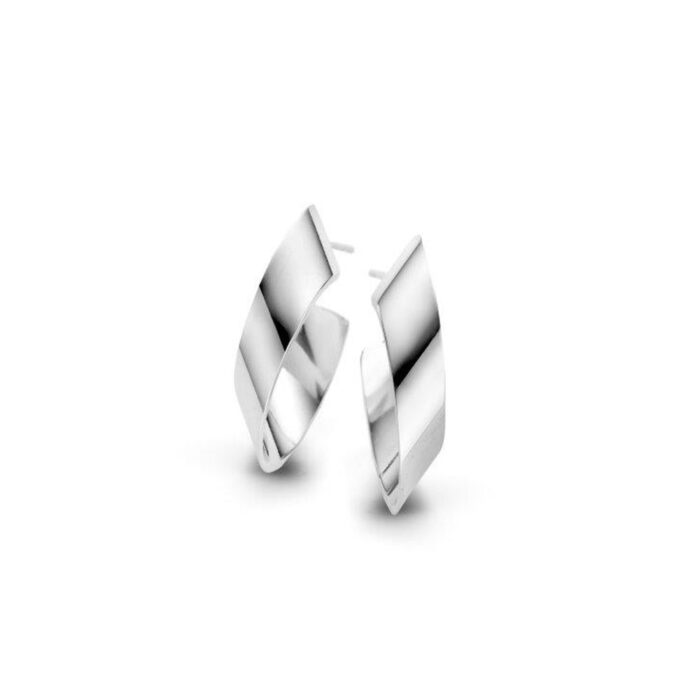 Zilveren oorsieraden glans gerodineerd.