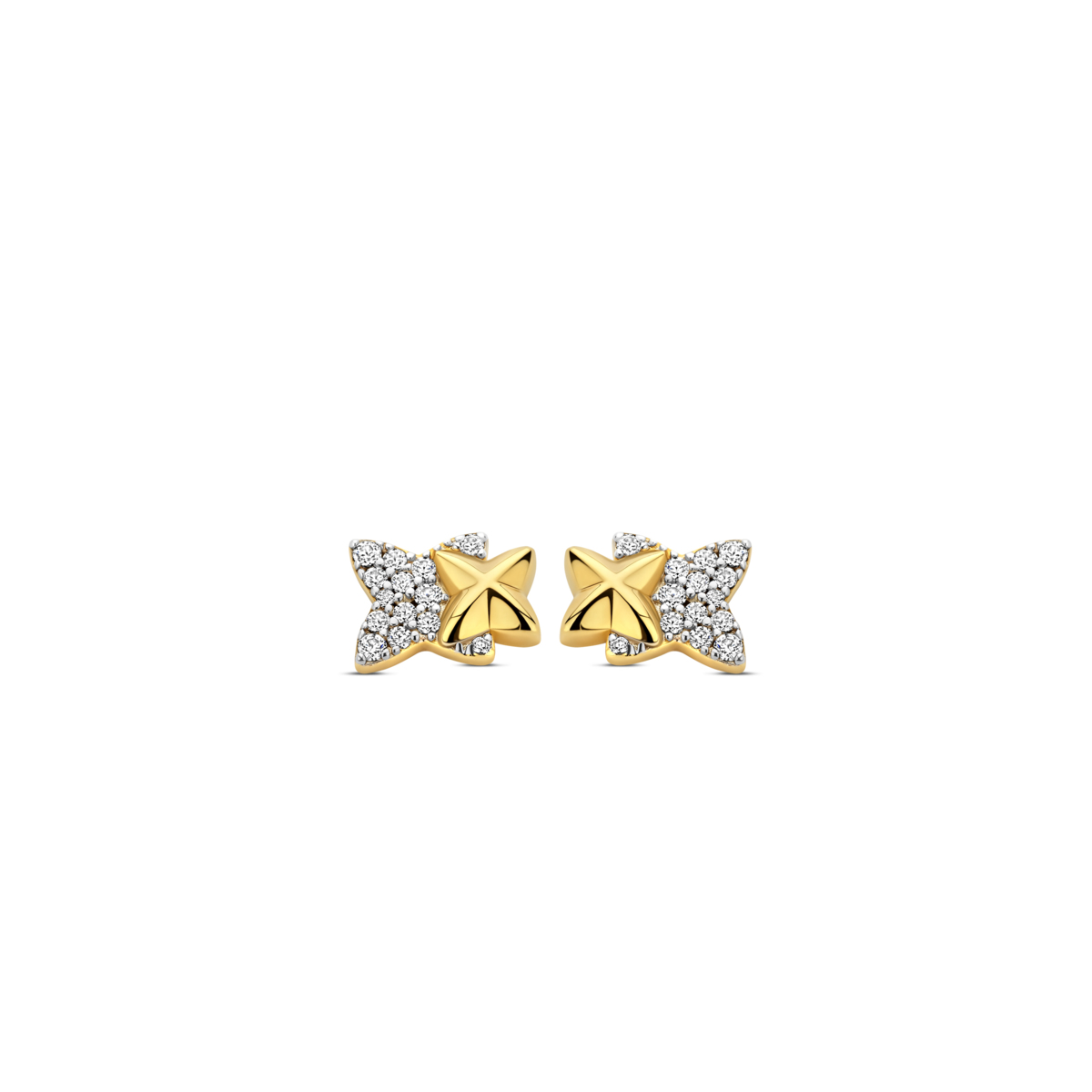 Oorknoppen bicolor + CZ Naiomy