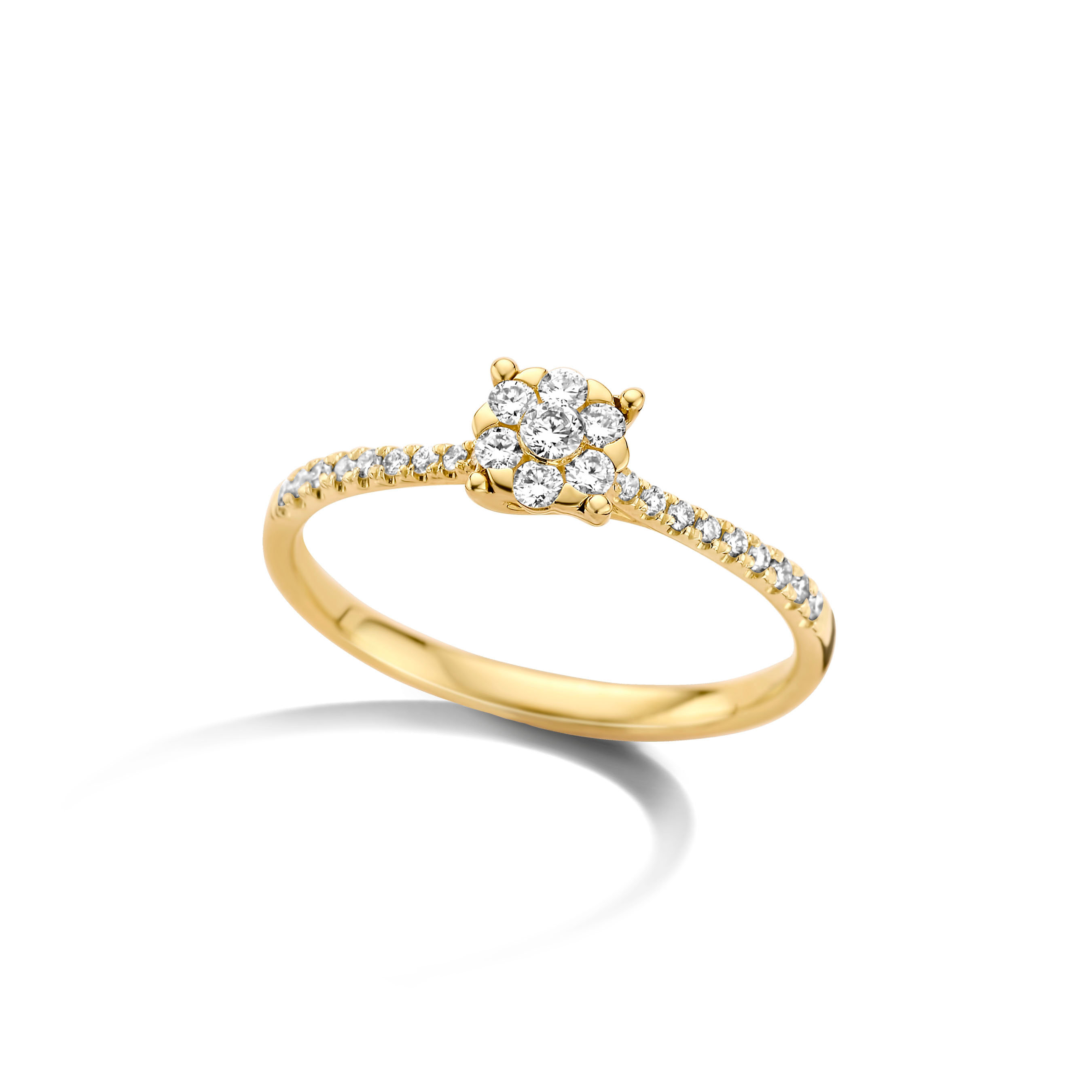 Ring 18kt Geel goud met 0.25 natuurlijke briljant verlovingsring van de collectie Dulci Nea