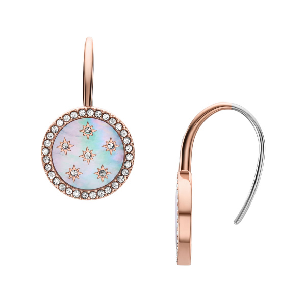 De FOSSIL MERRIT OORHANGERS JF04938791 zijn stijlvolle juwelen in de categorie oorbellen. Deze hanger oorbellen zijn perfect om een elegante touch aan je outfit toe te voegen. Draag ze met je favoriete feestjurk of casual chique outfit om een verfijnde look te creëren. Ideaal voor zowel dagelijks gebruik als speciale gelegenheden.