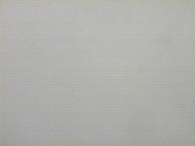 Max Fr&ouml;hlich Ketten Ref.-Nr.: 7850/36 925/rh/- Silber, Rhodiniert L&auml;nge 36cm