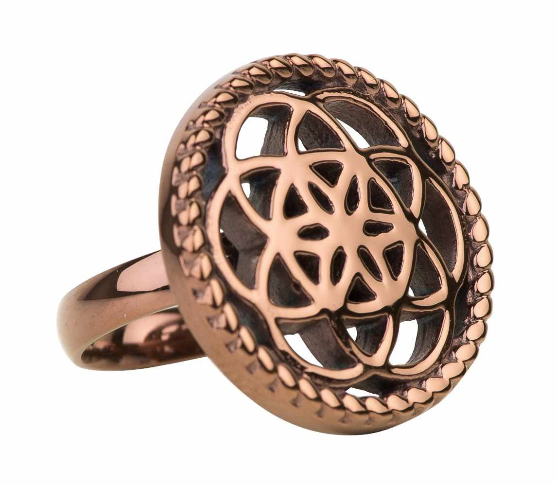Traumf&auml;nger Ringe Ref.-Nr.: TFR0256BR Edelstahl, braun Ringgr&ouml;&szlig;e 56