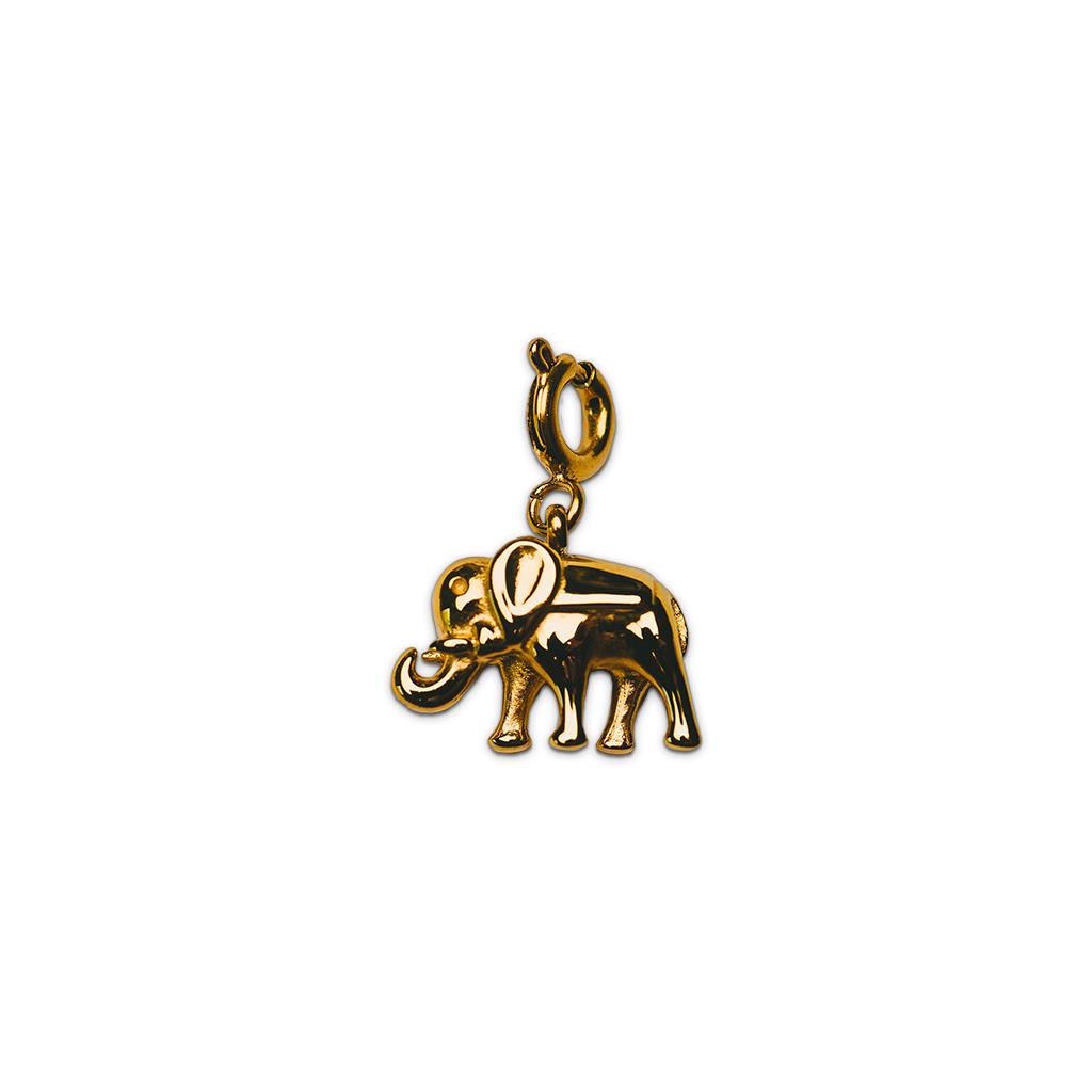 Gl&uuml;cksbringer Anh&auml;nger Ref.-Nr.: GBC11GO EST/- Edelstahl, gelb