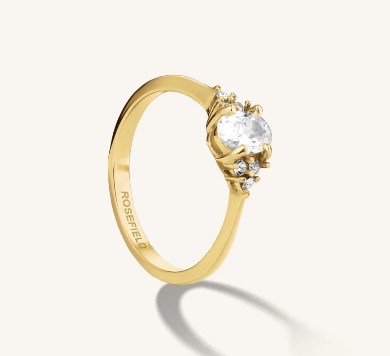 ROSEFIELD Ringe Ref.-Nr.: JRV048G-j940 Edelstahl Ringgr&ouml;&szlig;e 48