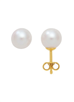 Max Fr&ouml;hlich Ohrschmuck Ref.-Nr.: OS 14096 333/- Gold, gelb Zuchtperle 8,0 bis 8,5 mm