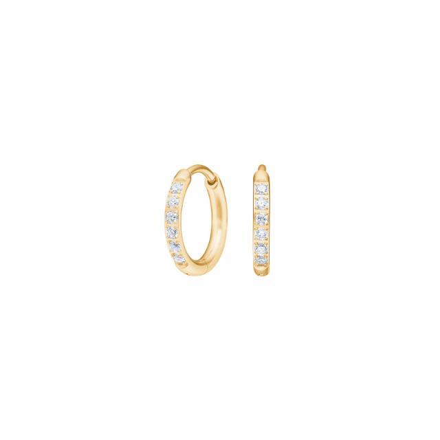 Nordahl Ohrschmuck Ref.-Nr.: 30150253800 Titan, gelb Zirkonia  Wei&szlig; 