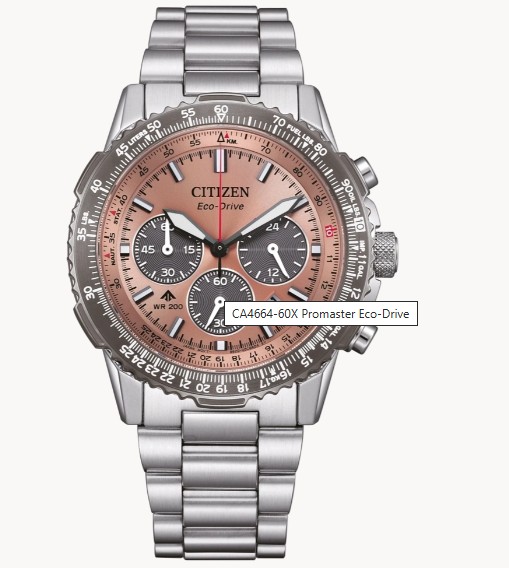 Citizen Pro Master Herrenuhren Ziffernblatt: Braun Index  Edelstahl Gliederband Solar 200 Meter Ref.-Nr.: CA4664-60X