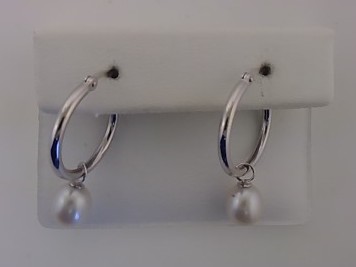 Max Fr&ouml;hlich Ohrschmuck Ref.-Nr.: 488/197481 925/- Silber, Rhodiniert  2 S&uuml;&szlig;wasser Zuchtperle