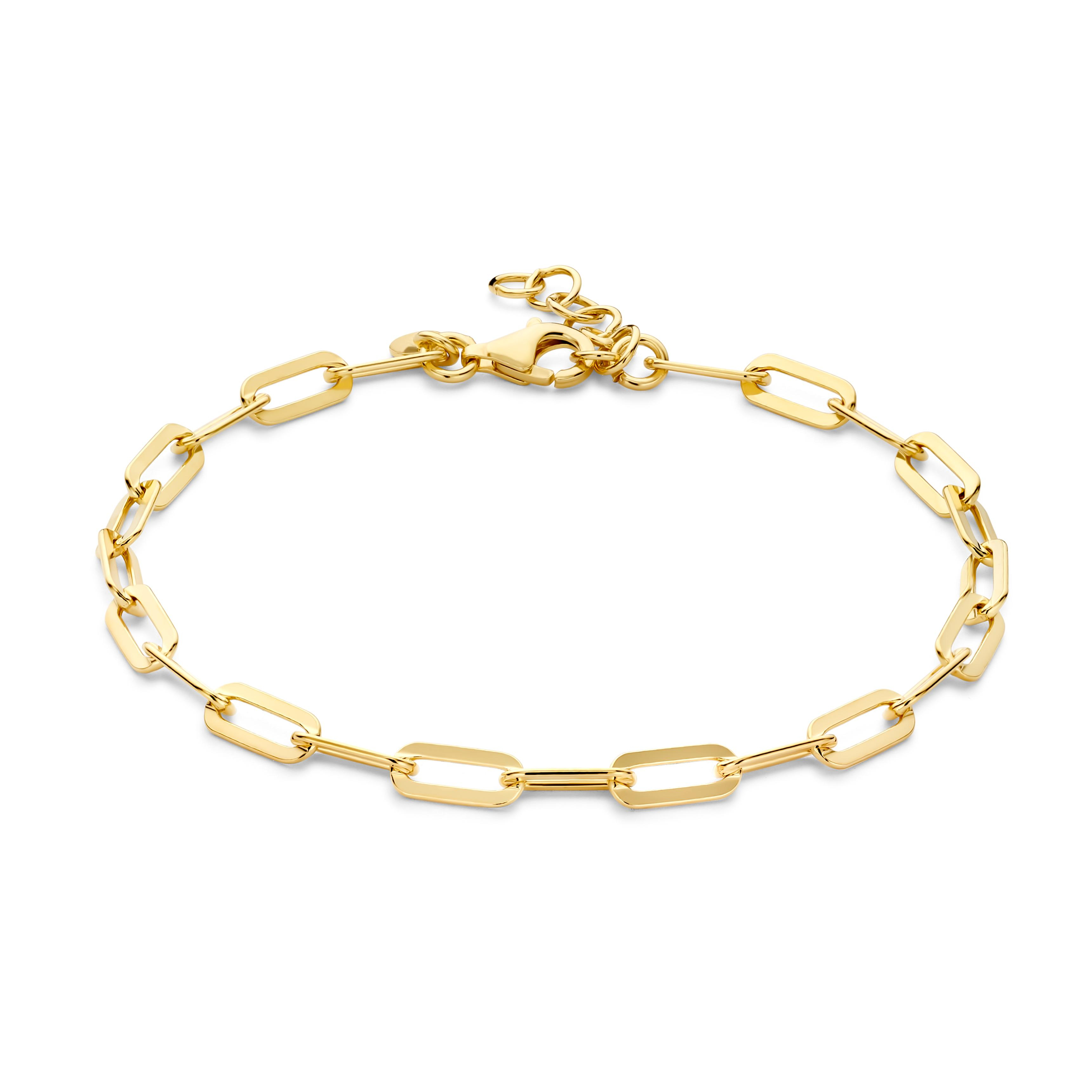 zilveren RdL armband, vergulde paperclips 20cm