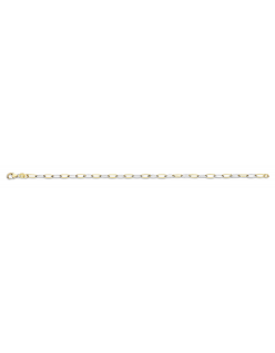 Gouden armband met zilveren kern. bicollor
anker 
3,5mm breed
19 cm lengte