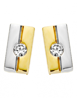Gouden oorstekers rechthoek
bicolor
0,02 crt diamant
