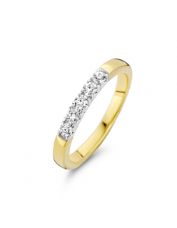 Gouden ring bicolor
Rijzetting 5x0,05
