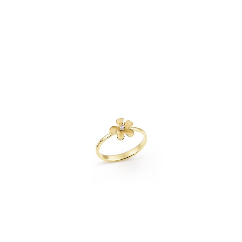 Cherry Bloom Series Ring, 18Kt Yellow Sunrise Gold with Diamond

Diamant/briljant  0.02Ct. 
Goud: 18Krt
Kleur: Yellow Sunrise 

Cherry Bloom vangt de gratie en lichtheid van kersenbloesems in de lente en viert de tijdloze savoir-faire van het Maison op het gebied van bloemenvakmanschap. Met zijn speelse maar delicate allure belichaamt deze collectie veelzijdigheid en dynamiek, in de kenmerkende stijl van Cammilli. De satijnen Aetherna-afwerking streelt zachtjes het oppervlak als licht dat door bloemblaadjes valt, terwijl de gepolijste rand de driedimensionale elegantie accentueert. Cherry Bloom is ook verkrijgbaar in een versie die is verbeterd met een met diamanten bezet profiel en voegt een vleugje verfijnde helderheid toe aan degenen die het dragen