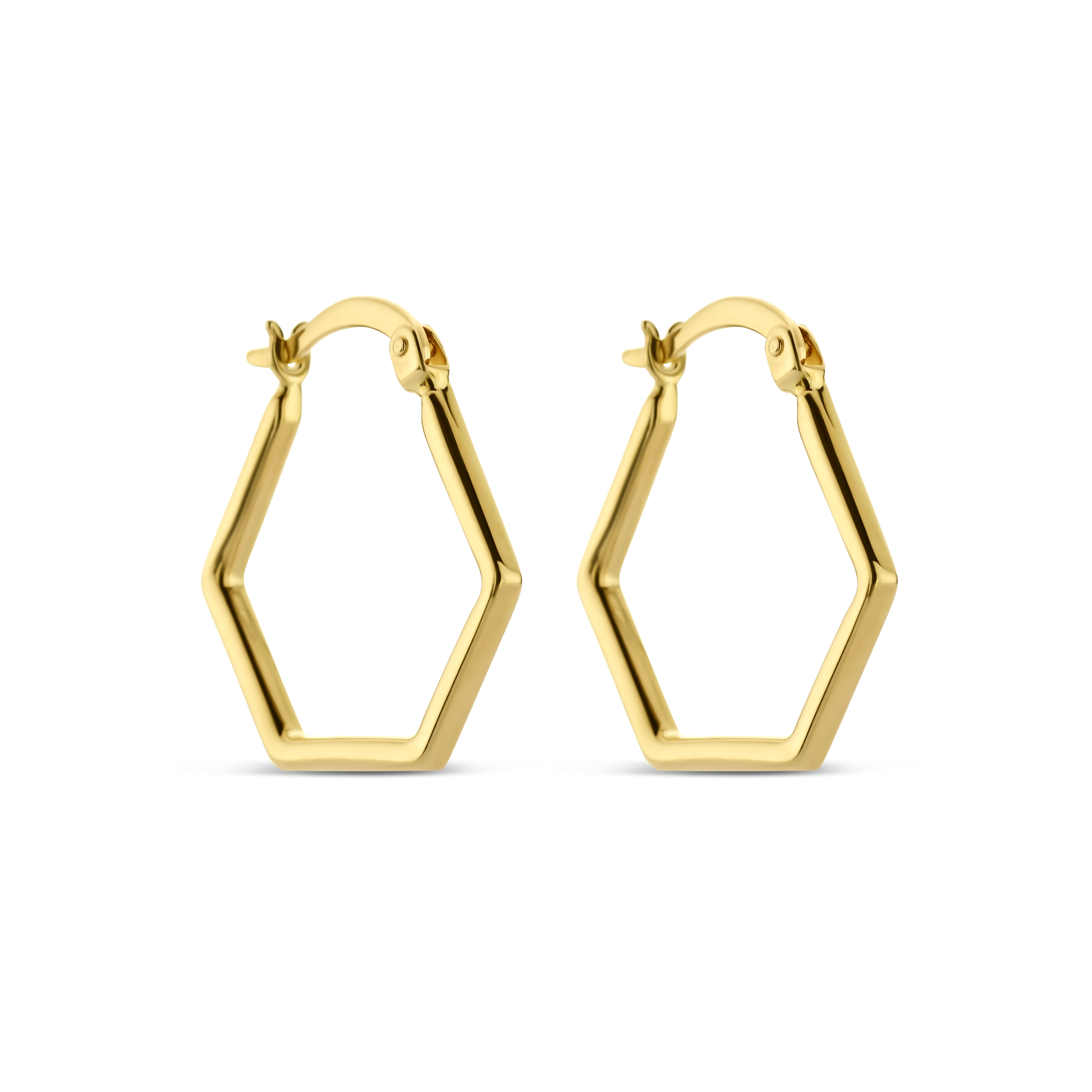 Dit zijn oorbellen van het merk Swing Jewels gemaakt voor dames.