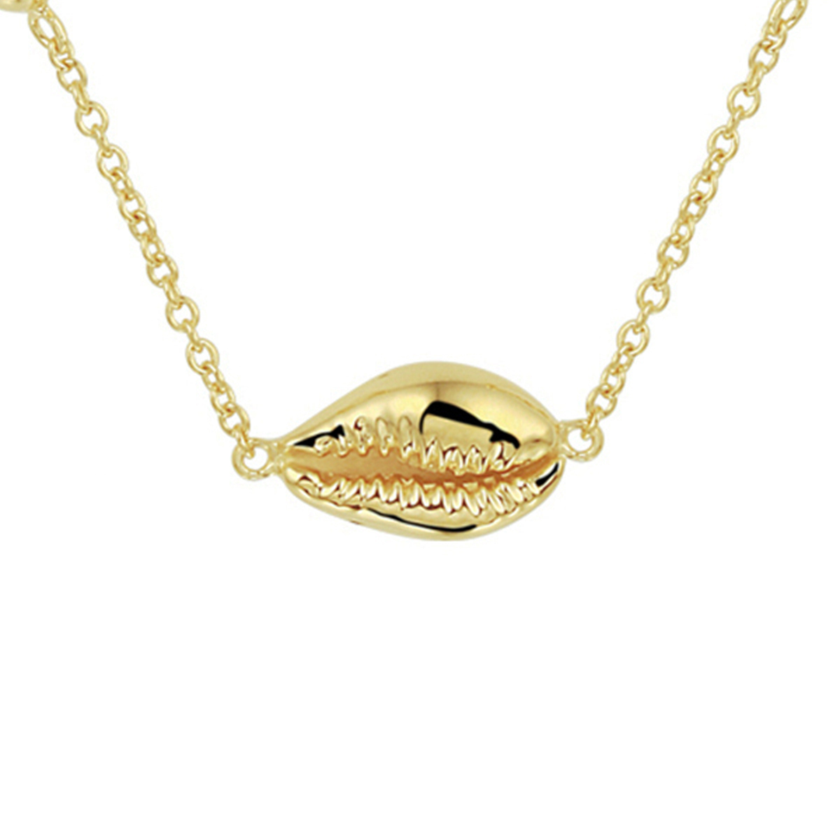 Verguld op 925 zilveren collier uitgevoerd met een schelp en een stevige karabijn sluiting. Het collier heeft draaglengtes van 41, 43 en 45cm. De schakelbreedte is 1.4mm. Geen garantie op plating.
