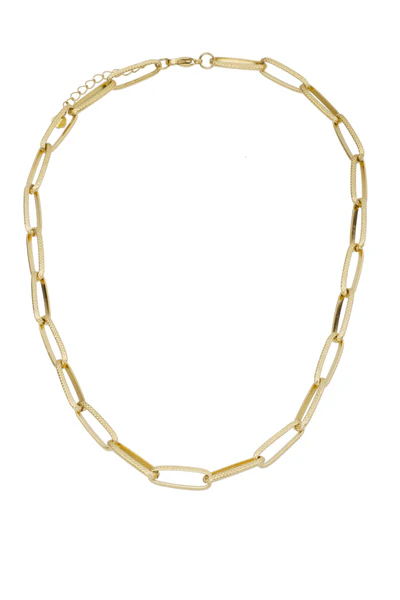 Het "Rose & Camellia Collier edelstaal verguld" is een verfijnde vergulde ketting van roestvrij staal, modelnummer 1700012108990. Met een lengte van 50+5 cm past deze halsketting perfect bij elke outfit. Ideaal om te combineren met zowel casual als elegante kleding voor een tijdloze look. Voeg een vleugje elegantie toe aan je dagelijkse stijl!