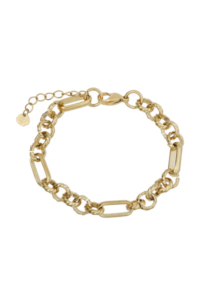 De Rose & Camellia Armband, modelnummer 2700006006997, is een prachtige vergulde edelstalen armband. Draag deze elegante armband solo of combineer met andere armbanden voor een gelaagde look. Perfect voor zowel dagelijks gebruik als speciale gelegenheden, biedt het een verfijnde en luxueuze uitstraling aan elke outfit.