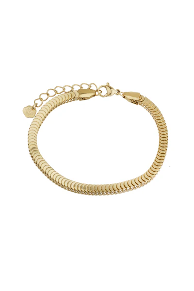 De Rose & Camellia Armband met modelnummer 2700007006996 is vervaardigd uit edelstaal en verguld voor een luxe uitstraling. Draag deze elegante armband solo voor een verfijnde look of combineer met andere sieraden voor een trendy effect. Perfect voor zowel dagelijks gebruik als speciale gelegenheden.