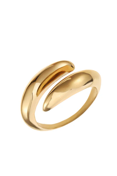 De Rose & Camellia Ring, modelnummer 4900011406951, is een vergulde edelstalen ring. Deze prachtige ring is perfect voor speciale gelegenheden of als dagelijks accentstuk. Draag hem alleen of samen met andere sieraden voor een elegante en verfijnde look.