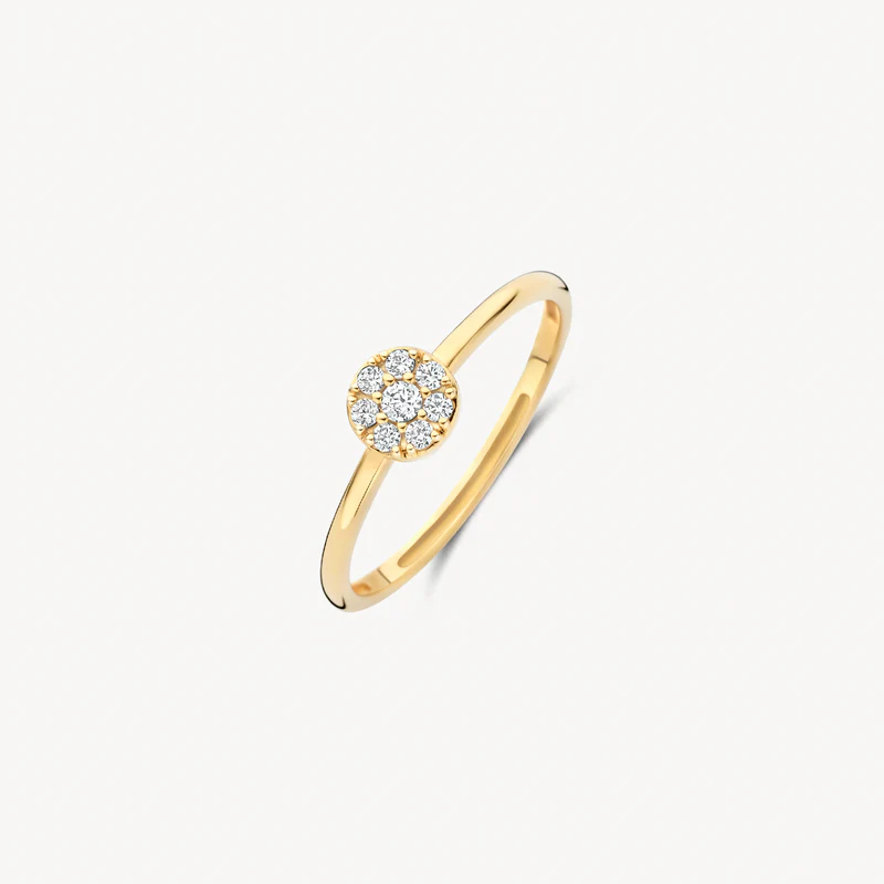 Ontdek deze verfijnde ring, vervaardigd uit 14k geelgoud. Je ziet een slanke band die subtiel overgaat in een cirkelvormig cluster van schitterende zirkonia's. Deze zijn zorgvuldig pavé gezet voor maximale glans. Met een banddikte van ⌀ 1.4 mm draagt hij comfortabel en elegant. Een tijdloze toevoeging aan jouw sieradencollectie.