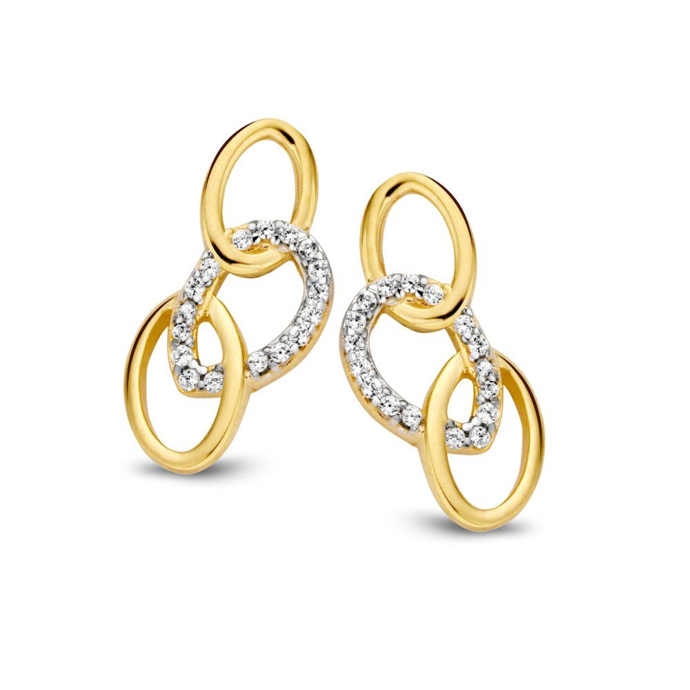 Bicolor wit- en geelgouden oorstekers met zirkonia's. Deze oorstekers worden geleverd met 14 karaatpoussettes.
