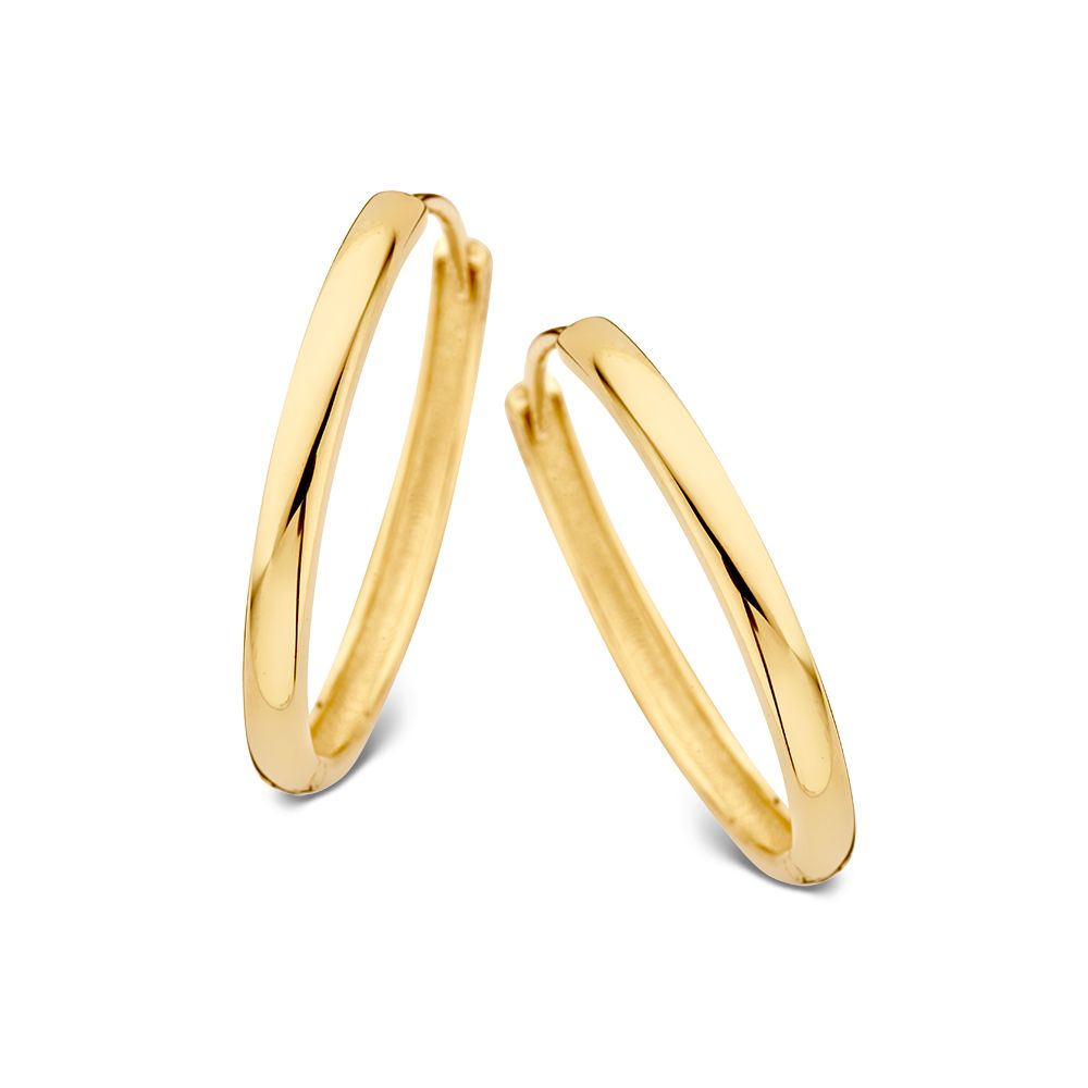 De Excellent geelgouden oorringen (modelnummer OE107508) zijn een prachtige toevoeging aan je sieradencollectie. Deze oorringen zijn gemaakt van geelgoud en hebben een glanzende afwerking. Met een breedte van 2,4 mm en een gewicht van 2 gram, zijn ze ideaal voor dagelijks gebruik of een speciale gelegenheid. Draag deze elegante oorringen om je outfit stijlvol te verfraaien.